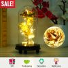 Foil Rose LED String Light - Glass Dome for Valentine's Wedding