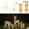 Reindeer Family Christmas Lights - 2D Buck Doe Fawn Decoration
