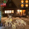Reindeer Family Christmas Lights - 2D Buck Doe Fawn Decoration