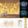 2M 100 LED Fairy String Lights - Copper Wire with Remote Control