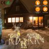 Reindeer Family Christmas Lights - 2D Buck Doe Fawn Decoration