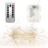 2M 100 LED Fairy String Lights - Copper Wire with Remote Control
