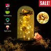 Foil Rose LED String Light - Glass Dome for Valentine's Wedding