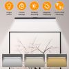 Wireless Picture Light - Magnetic Art Display Light with Remote