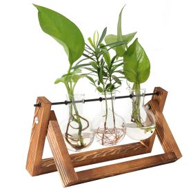 Desktop Glass Planter Bulb Terrarium - Wooden Stand & Metal Swivel