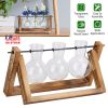 Desktop Glass Planter Bulb Terrarium - Wooden Stand & Metal Swivel