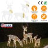 Reindeer Family Christmas Lights - 2D Buck Doe Fawn Decoration