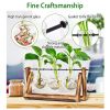 Desktop Glass Planter Bulb Terrarium - Wooden Stand & Metal Swivel