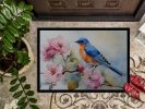Bluebird Doormat Front Door Mat Indoor Outdoor Rugs for Entryway, Non Slip Washable Low Pile, 24H X 36W