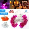 Halloween Pumpkin String Lights – 30 LED Fairy Lights, 9.8ft Battery Operated (iMounTEK)