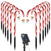 Solar Christmas Candy Cane Lights - 12 Candies 72 LEDs IP44 Pathway